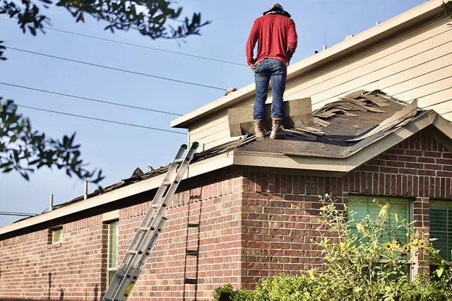 Important Questions To Ask When Hiring A Roofer
